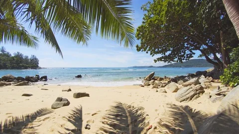 Palm Leaves over a Pristine Tropical Beach in Thailand Stock Footage 77271007