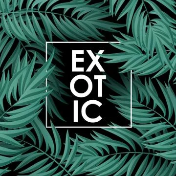 Palm leaves pattern Stock Illustration