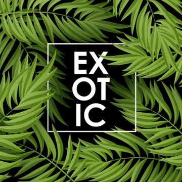 Palm leaves pattern Illustrazione stock