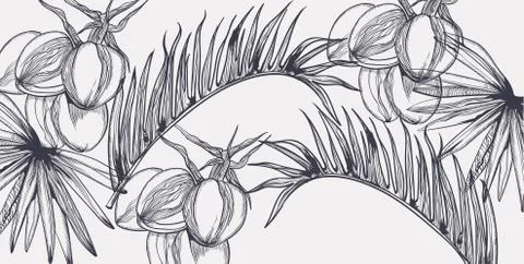 Palm leaves pattern tropic vector line art. Summer poster exotic decorations Illustrazione stock