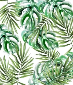 Palm leaves pattern Vector watercolor. Tropic exotic texture. Wild green deco Illustrazione stock