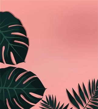 Palm leaves on pink background	 Stock Illustration