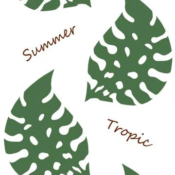 Palm leaves seamless pattern. Tropical leaves isolated on white background Stock Illustration
