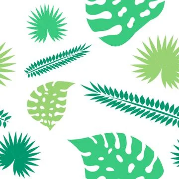 Palm leaves seamless pattern. Tropical leaves isolated on white background Stock Illustration