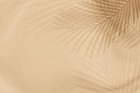 Palm leaves shadow on a beige background Stock Photos