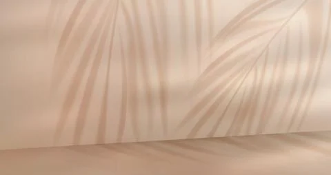 Palm leaves shadow on beige wall Stock Illustration