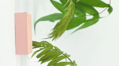 Palm leaves with a shadow slowly move from a gentle wind with a pink podium on a Stock Footage 157694792