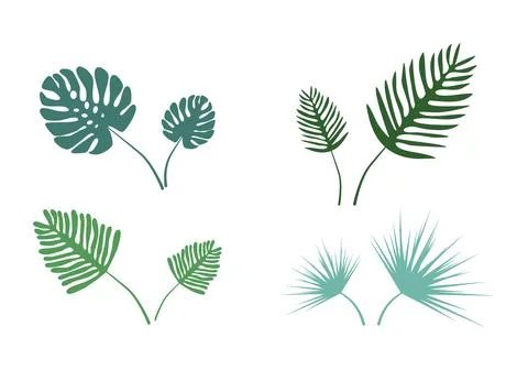Palm leaves, vector. Stock Illustration
