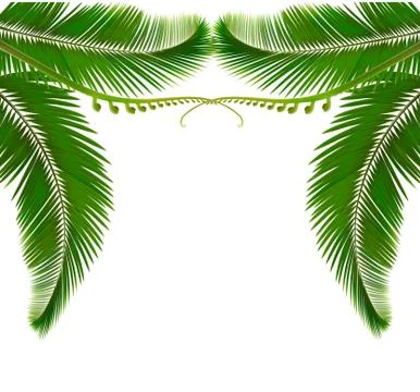 Palm leaves on white background. vector illustration. Stock Illustration