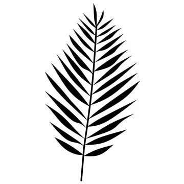 Palm leaves with white background, Vector Stock Illustration