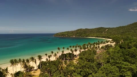 Palm Lined Beach and Blue Bay in Batchawan Beach Vídeo Stock 335647368