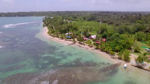 Palm-lined beach and clear coastal water in Bocas del Toro, Panama Vídeo Stock 345631287