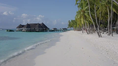 Palm-Lined Beach and Overwater Pavilion at Gili Lankanfushi Maldives Stock Footage 341313932
