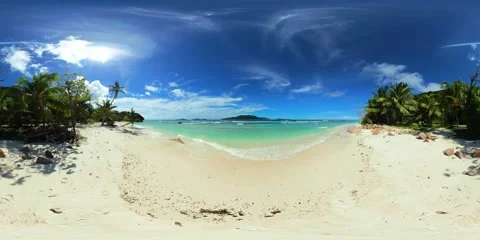 Palm-lined beach with calm waters. La Digue, Seychelles. Stock Footage 311216464