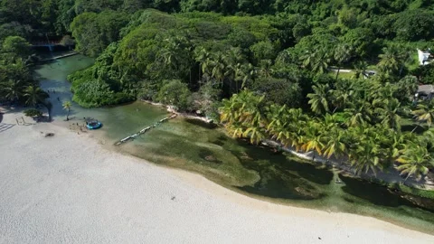 Palm-lined beach cove at a river mouth with moored boats, aerial view Stock Footage 278369232