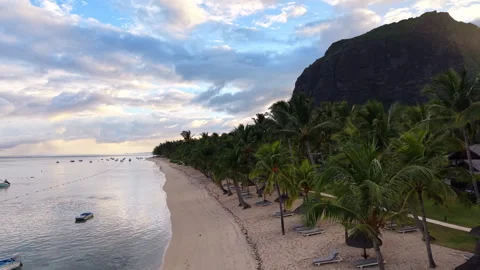 Palm Lined Beach at Le Morne Brabant, Mauritius Stock Footage 339503443