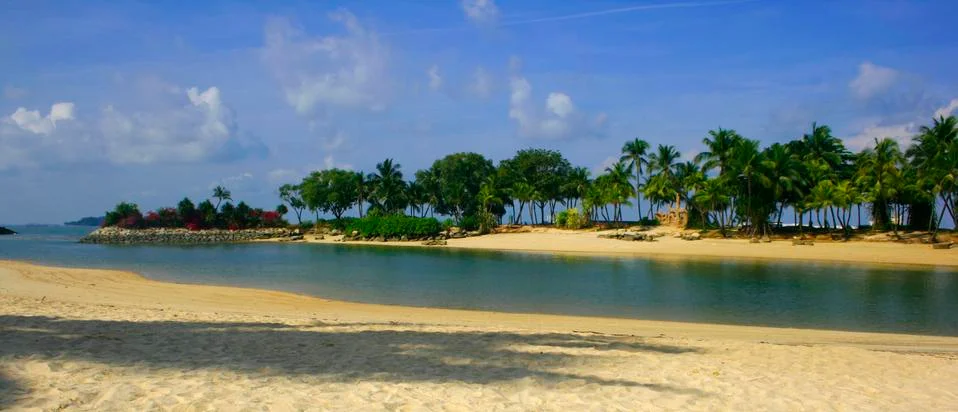 Palm Lined Beach Stock-Fotos