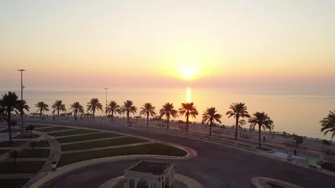 Palm-Lined Corniche Road at Sunrise Saudi Arabia Stock Footage 335310360