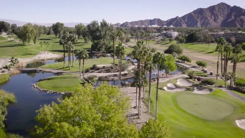 Palm Lined Desert Golf Course and Ponds, 4K Stock Footage 222630041