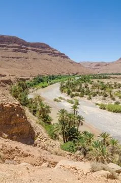Palm lined dry river bed with red orange mountains near Tiznit in Morocco, North Stock Photos