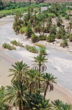 Palm lined dry river bed near Tiznit in Morocco, North Africa Stock Photos