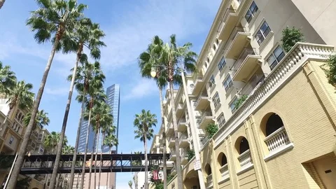 Palm-Lined Journey: Downtown in Motion Stock Footage 76004673