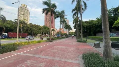 Palm-Lined Pathway at Rizal Park, Manila 4K 60fps Stock Footage 338400661