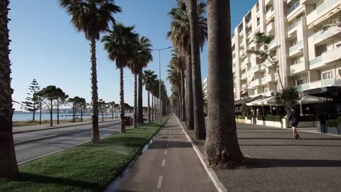 Palm-lined promenade along a beachside road and bicycle path in picturesque V Video stock 314840662