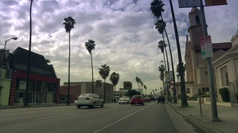 Palm lined street Stock-Footage 992233