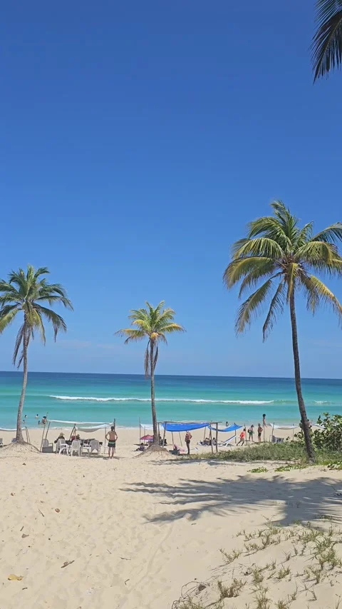 Palm-Lined White Sand Beach with Turquoise Sea, Santa María del Mar, Cuba Stock-Footage 276743515