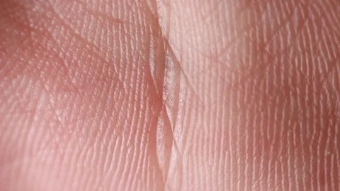 Palm lines extreme close up 動画素材 86509494