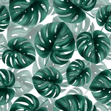 Palm monstera seamless pattern. Green tropical background Stock Illustration