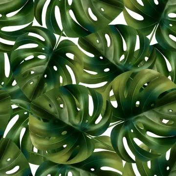 Palm monstera seamless pattern Stock Illustration