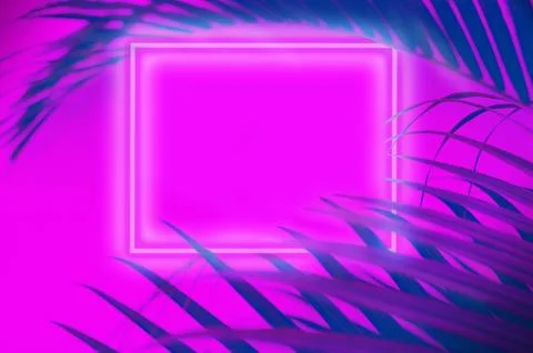 Palm neon background Stock Photos
