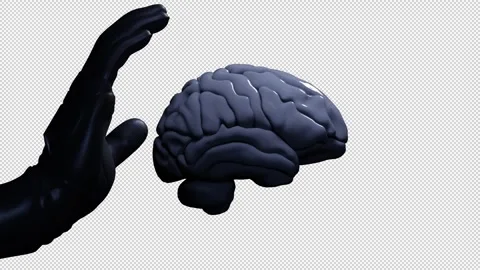 The palm next to the human brain Stock Footage 279553521