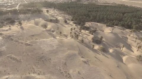 Palm Oasis drowned in sand Drone Footage Stock Footage 79741407