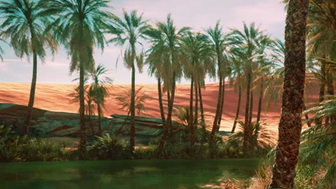 Palm Oasis Nestled Under a Warm Sun in a Serene Desert Landscape 스톡 동영상 344954645