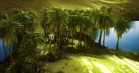 Palm oasis by a tranquil lake surrounded by golden sand dunes at midday Stock Illustration