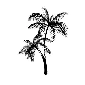 Palm object black. Vector illustration Stock Illustration