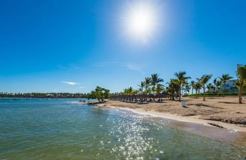 Palm Ocean Sky 스톡 사진