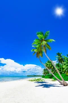 Palm Ocean Sky Foto stock