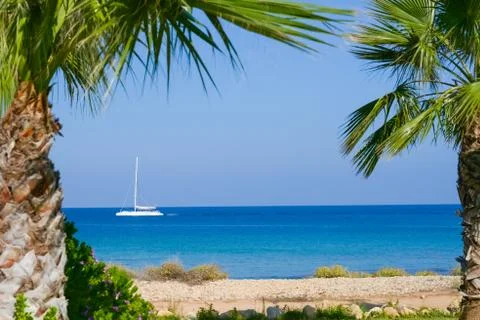 Palm Ocean Sky Stockfoto's