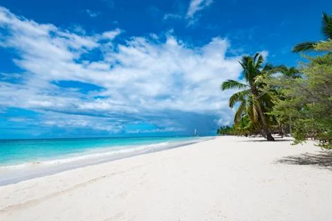 Palm Ocean Sky Photos