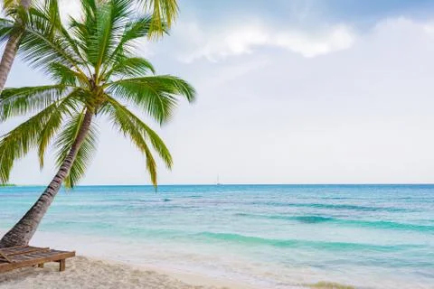 Palm Ocean Sky Photos