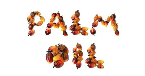 Palm Oil Fruit Stock Photos