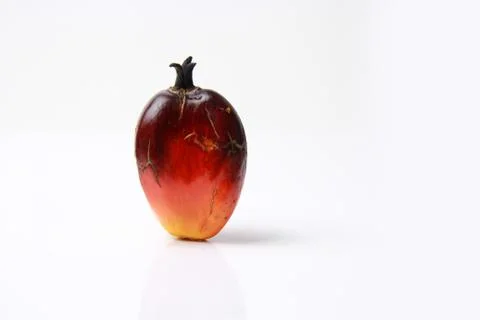 Palm Oil Fruit Stock Photos