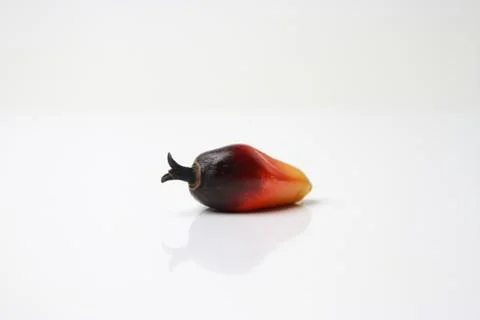 Palm Oil Fruit Stock Photos
