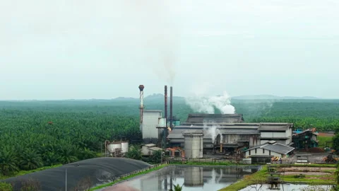 Palm Oil Processing Malaysia Aerial - Mill Solar Panels Steam 4K 스톡 동영상 329538790