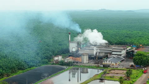 Palm Oil Processing Malaysia Aerial - Mill Solar Roof Steam Jempol 4K Vidéo 329545692