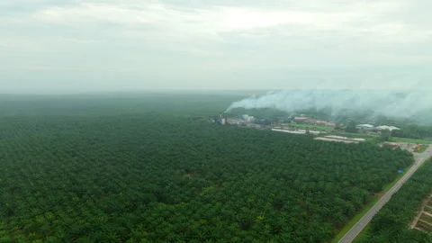 Palm Oil Processing Malaysia Aerial - Plantation Mill Steam Emission 4K Vidéo 329547259
